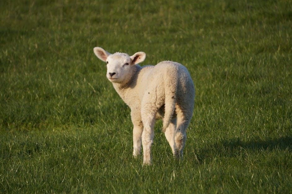 taldorei reborn pdf taldorei reborn pdf