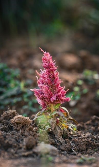 lyman reloading manual pdf free download